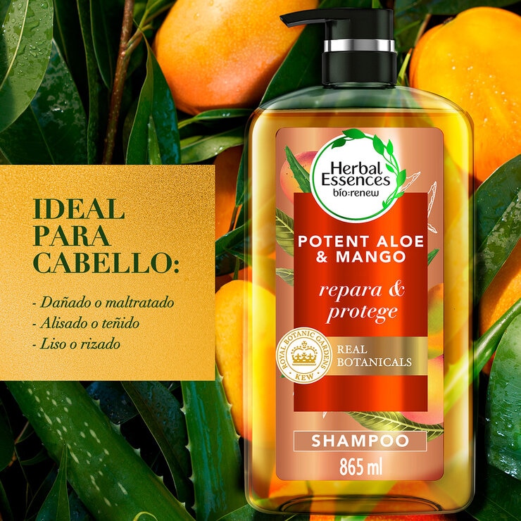 Herbal Essences Shampoo Bio:Renew Aloe & Mango Protege & Repara 865 ml Herbal Essences Shampoo Bio:Renew Aloe & Mango Protege & Repara 865 ml