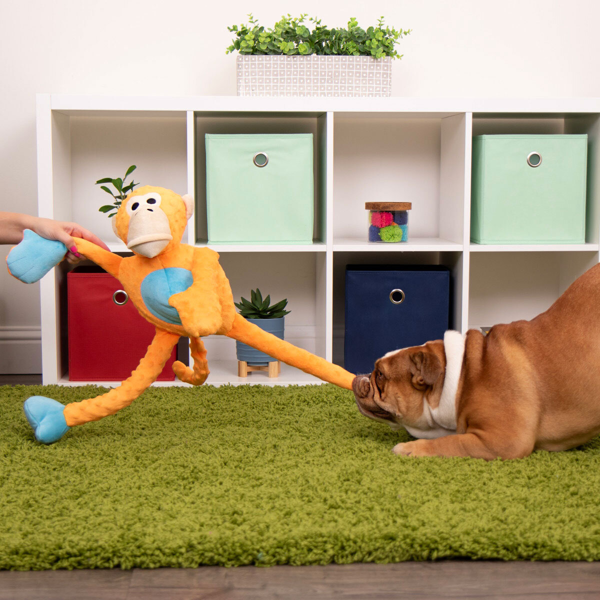 Go Dog Juguete para Perro 1 pza