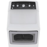 GE Secadora de Gas 22kg