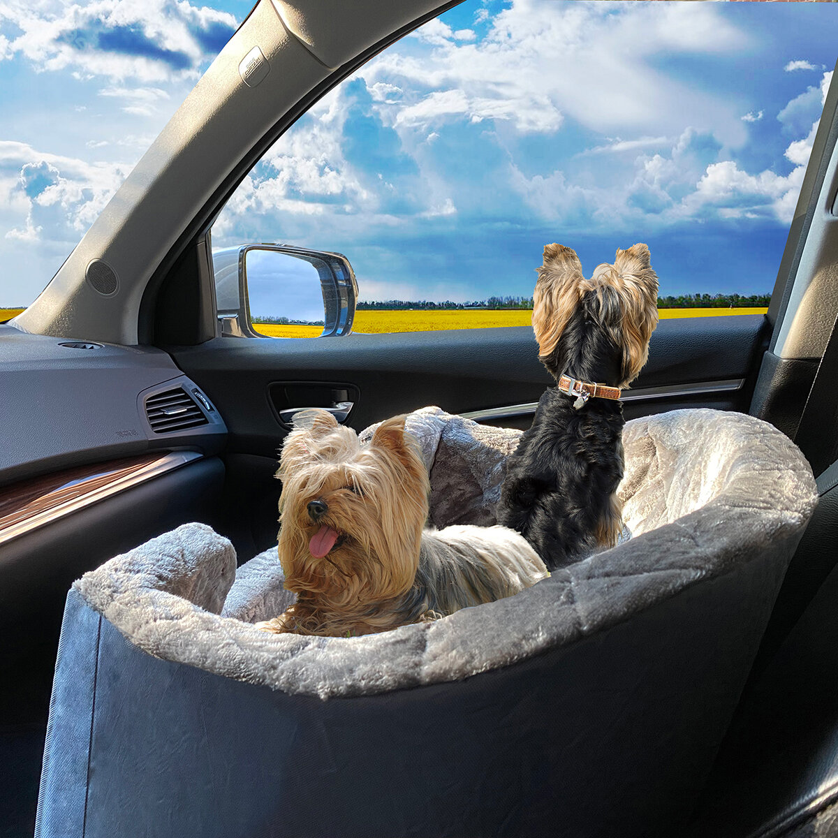 Arlee Asiento para Perro 1 pza