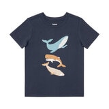 Pekkle Conjunto 4 piezas para Niños o Niñas Tiburón 3 Años