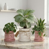 Estudio Floga, Macetas en Forma de Costal 3 piezas Estudio Floga, Macetas en Forma de Costal 3 piezas