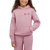 Champion Sudadera para Niños y Niñas Varias Tallas y Colores