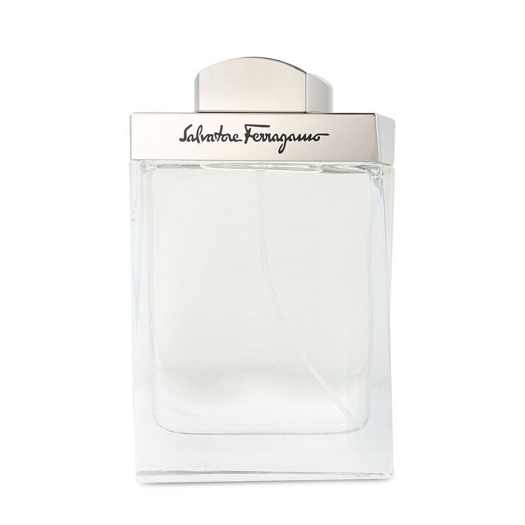 Salvatore Ferragamo Pour Homme 100 ml Salvatore Ferragamo Pour Homme 100 ml