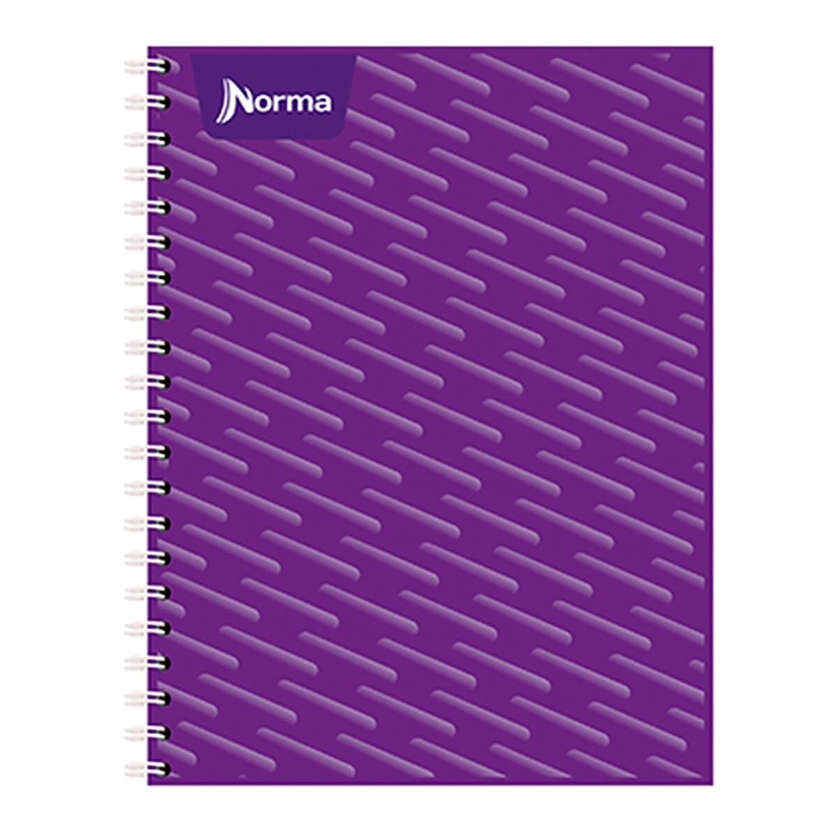 Norma cuaderno profesional 100 hojas