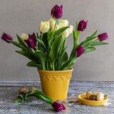 Over & Back, Chelsea Set de 2 Macetas de Cerámica Amarillas