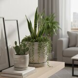 Zuccu Design, Tulip Marmoleada Macetas de Concreto, 2 piezas