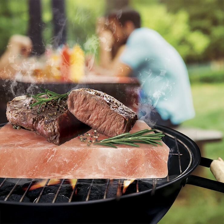 Pragná bloque de sal del Himalaya 5kg