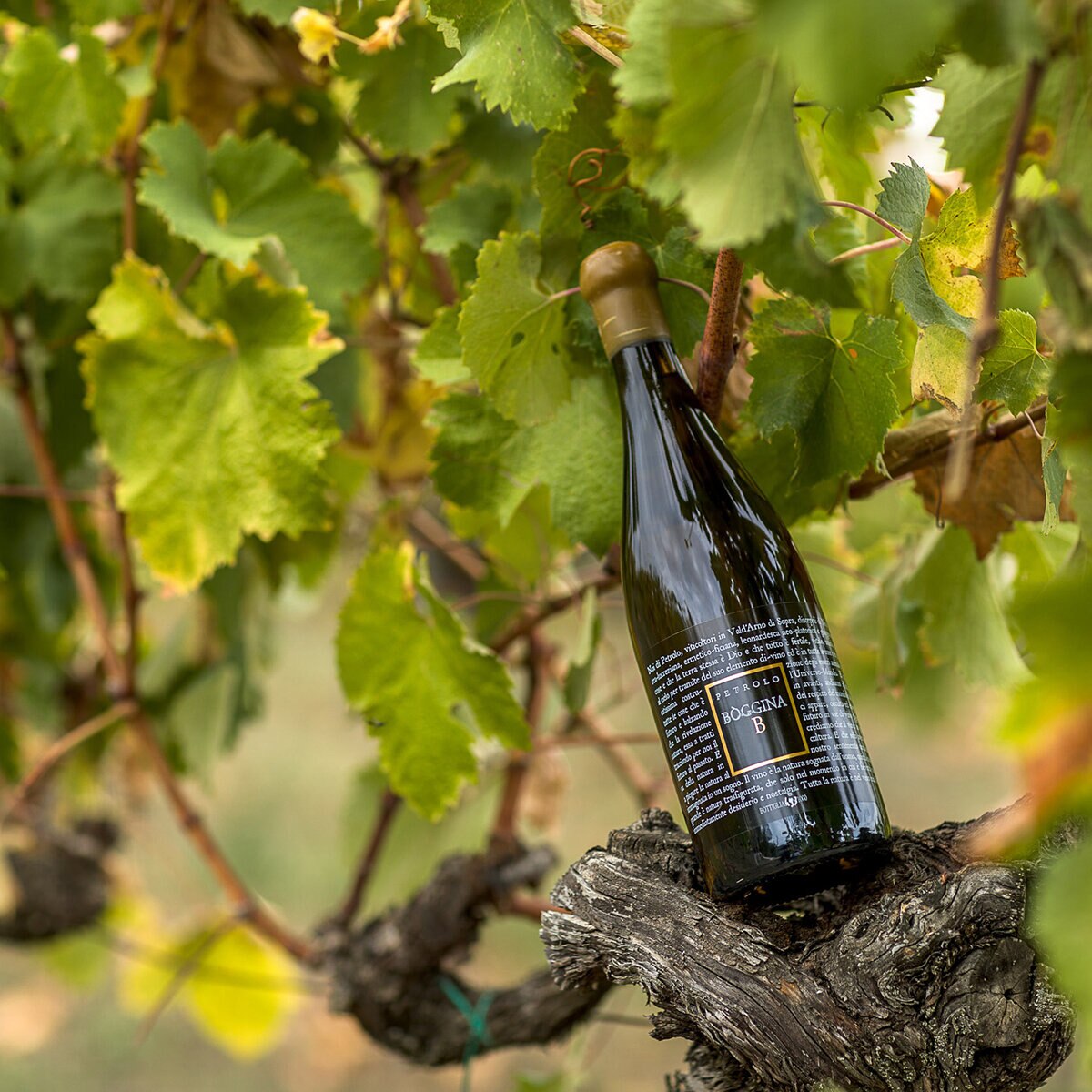 Vino Blanco Boggina 750 ml