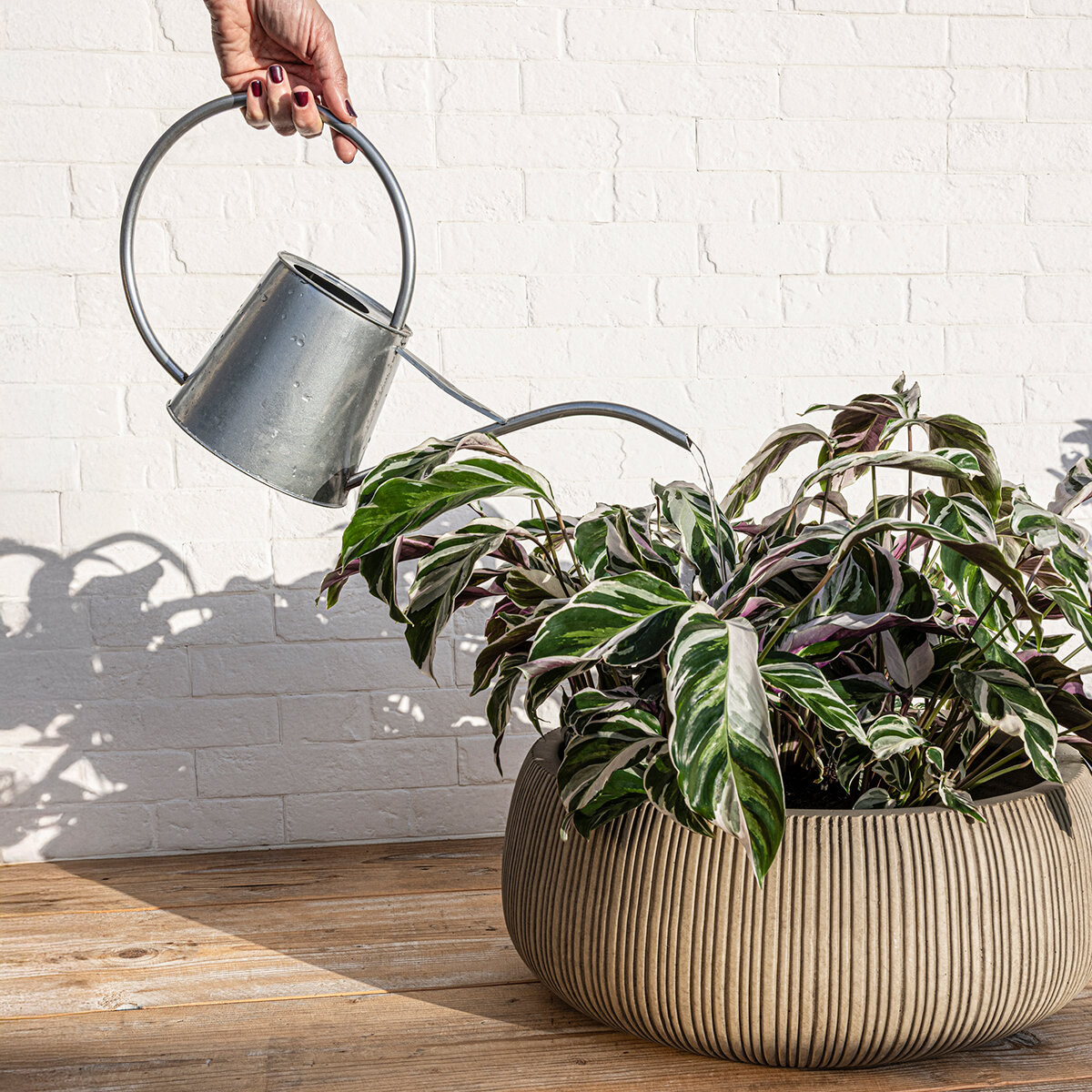 Over & Back, Pillarbloom Maceta de fibra de arcilla color arena.