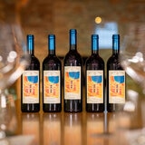 Vino Tinto Michele Chiarlo Barolo Cannubi 750ml