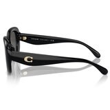 Coach 0HC8391U50028753 Lentes de Sol