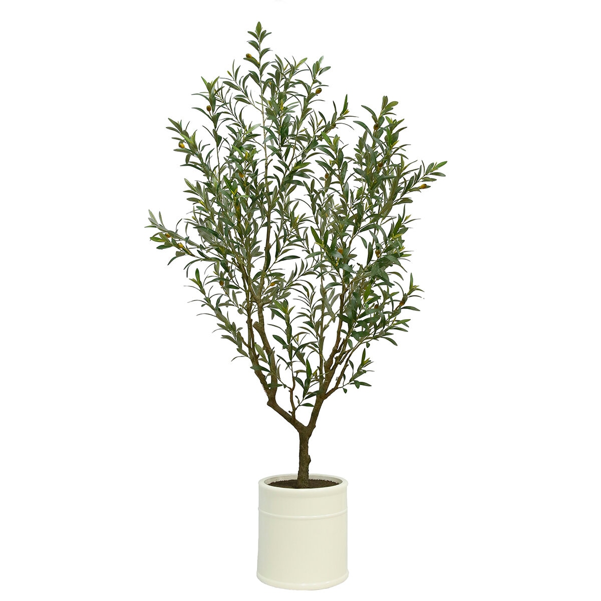 CG Hunter, Olivo de Aspecto Natural