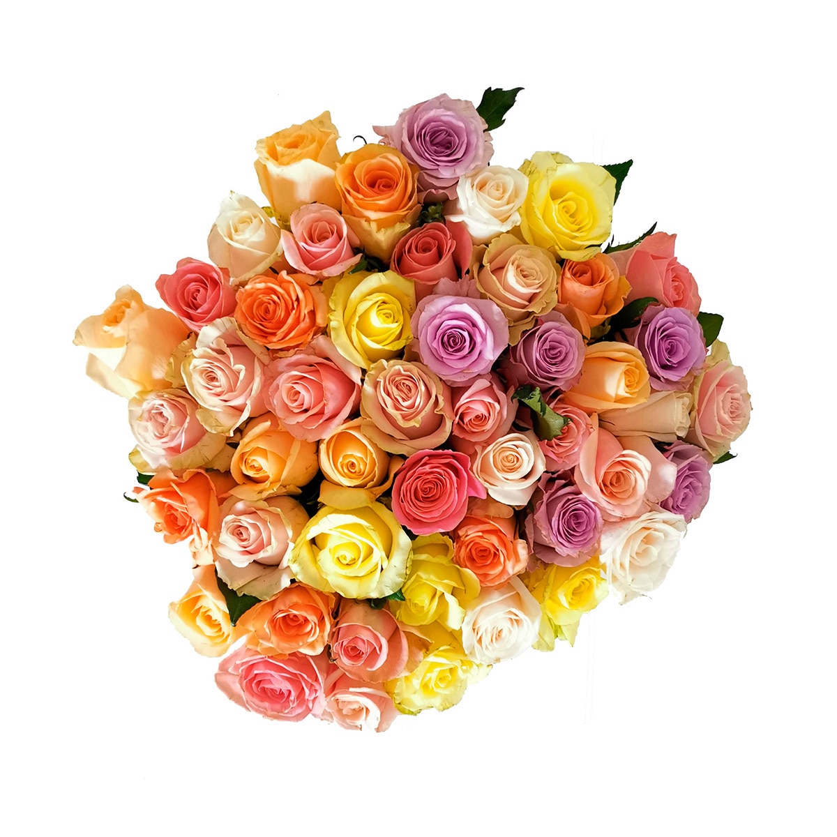 Chiltepec, Bouquet de 48 Rosas