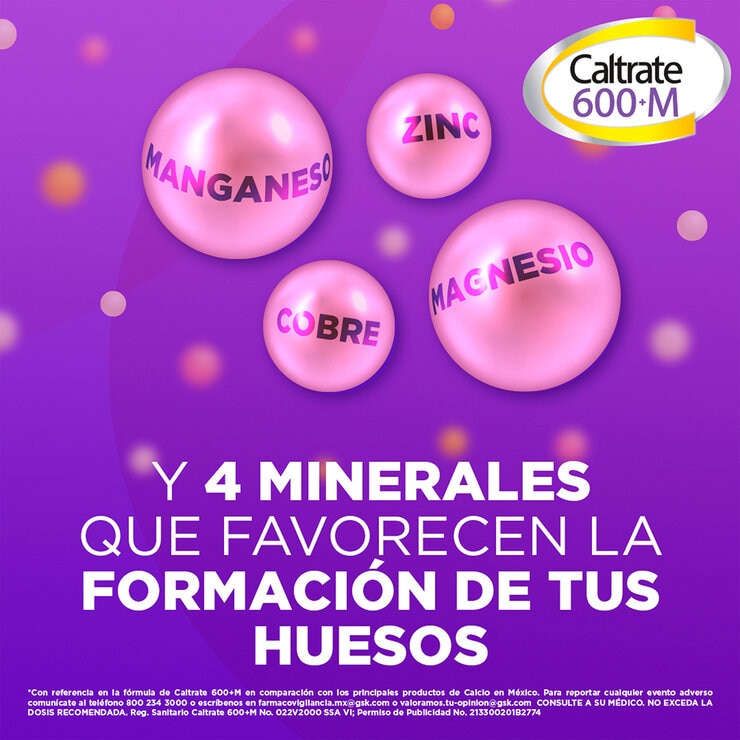 Caltrate 600+M Vitamina D3 + Minerales 2 de 60 Tabletas