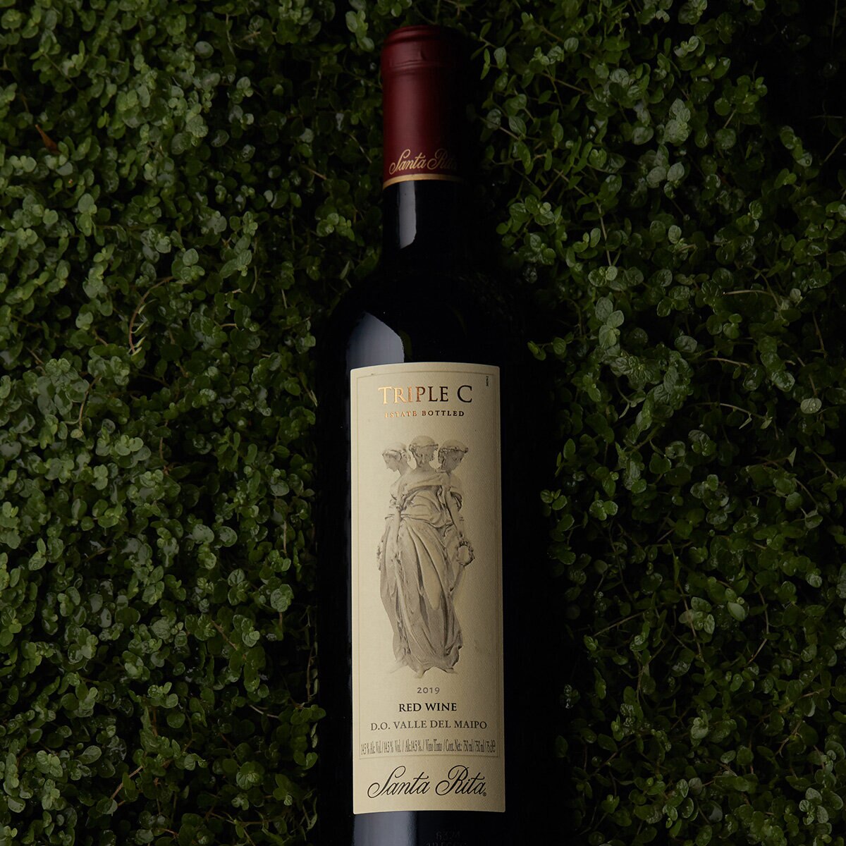 Vino Tinto Santa Rita Triple C 750ml