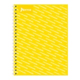 Norma cuaderno profesional 100 hojas