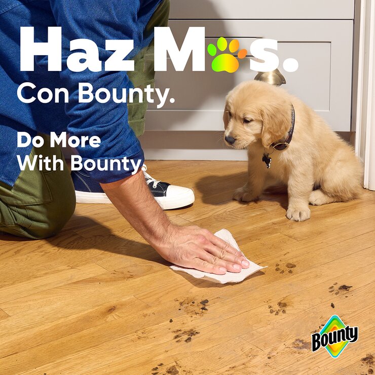 Bounty Advanced Servitoalla 12 rollos de 101 hojas