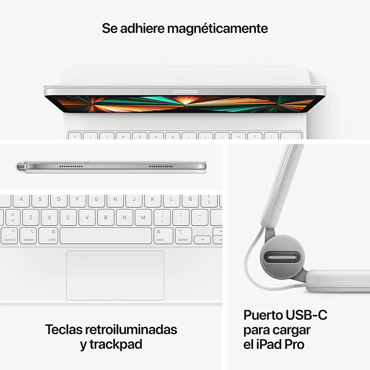 Apple Magic Keyboard para iPad Pro 11" (3a Generación) y iPad Air (4a Generación) - Español