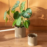 Over & Back, Inspiration Set de 2 Macetas Beige