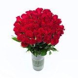 Bouquet de 48 rosas color rojo