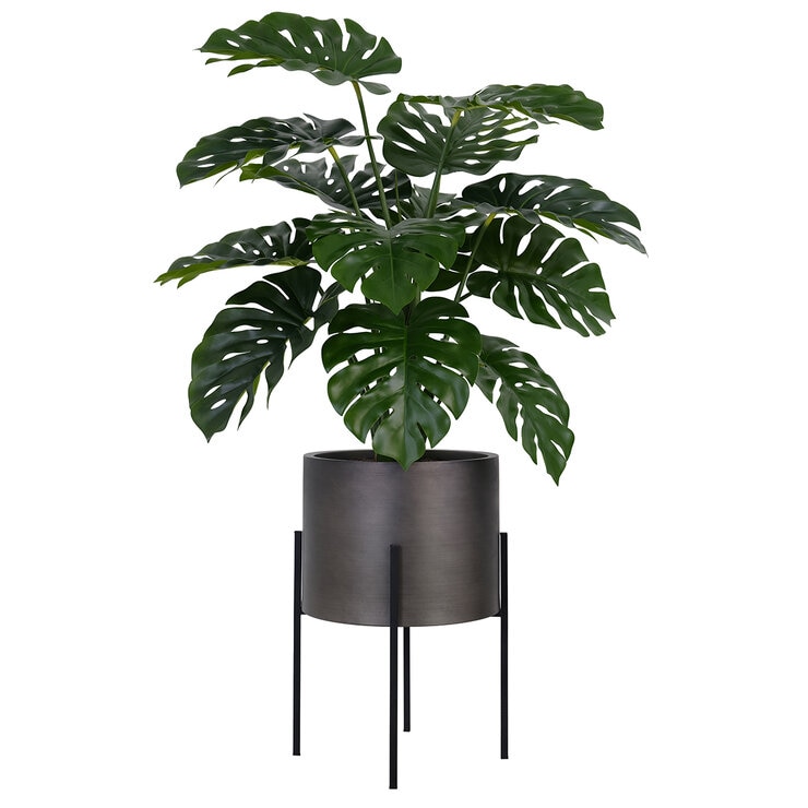 CG Hunter, Árbol Artificial de Monstera con Base