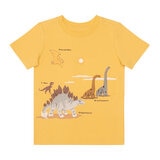 Pekkle Conjunto 4 piezas para Niños o Niñas Dinosaurio 2 Años