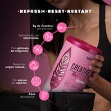 Birdman Creatina Refresher Pink Lemonade 500g Birdman Creatina Refresher Pink Lemonade 500g