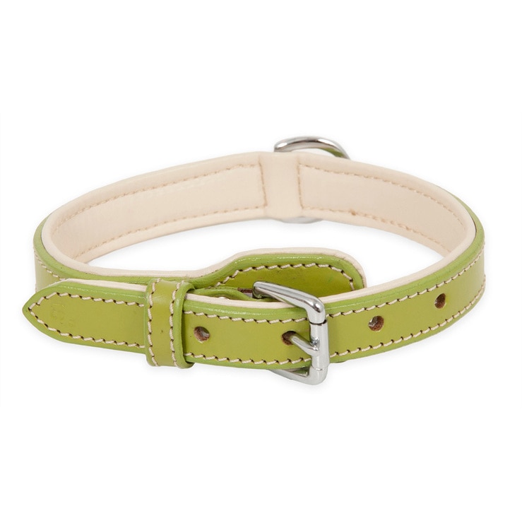 Collar para Perro de Cuero Ajustable, Petmate Costco México