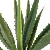 CG Hunter, Agave Artificial