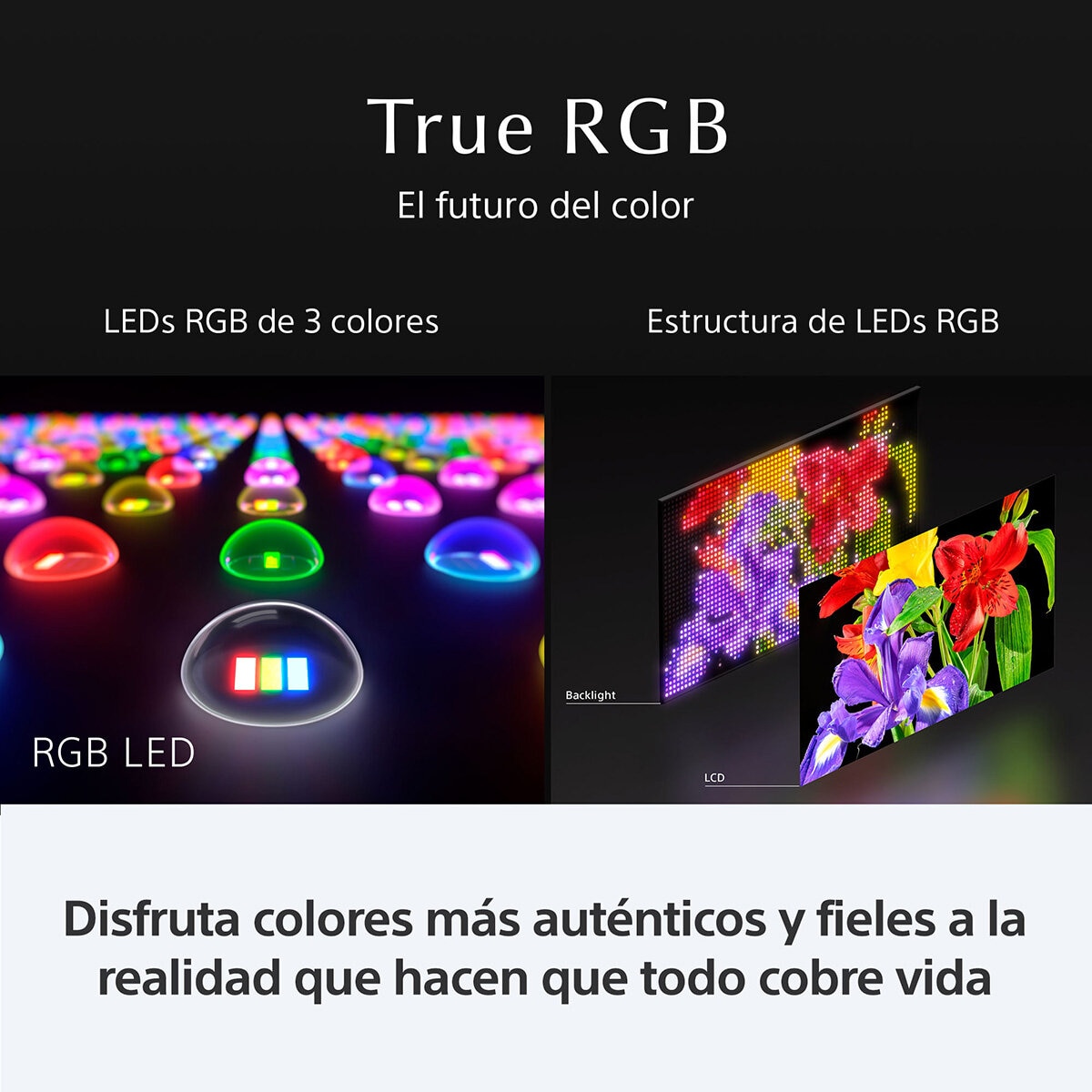 Sony Pantalla 55" BRAVIA 7 RGB 4K Google TV Sony Pantalla 55" BRAVIA 7 RGB 4K Google TV