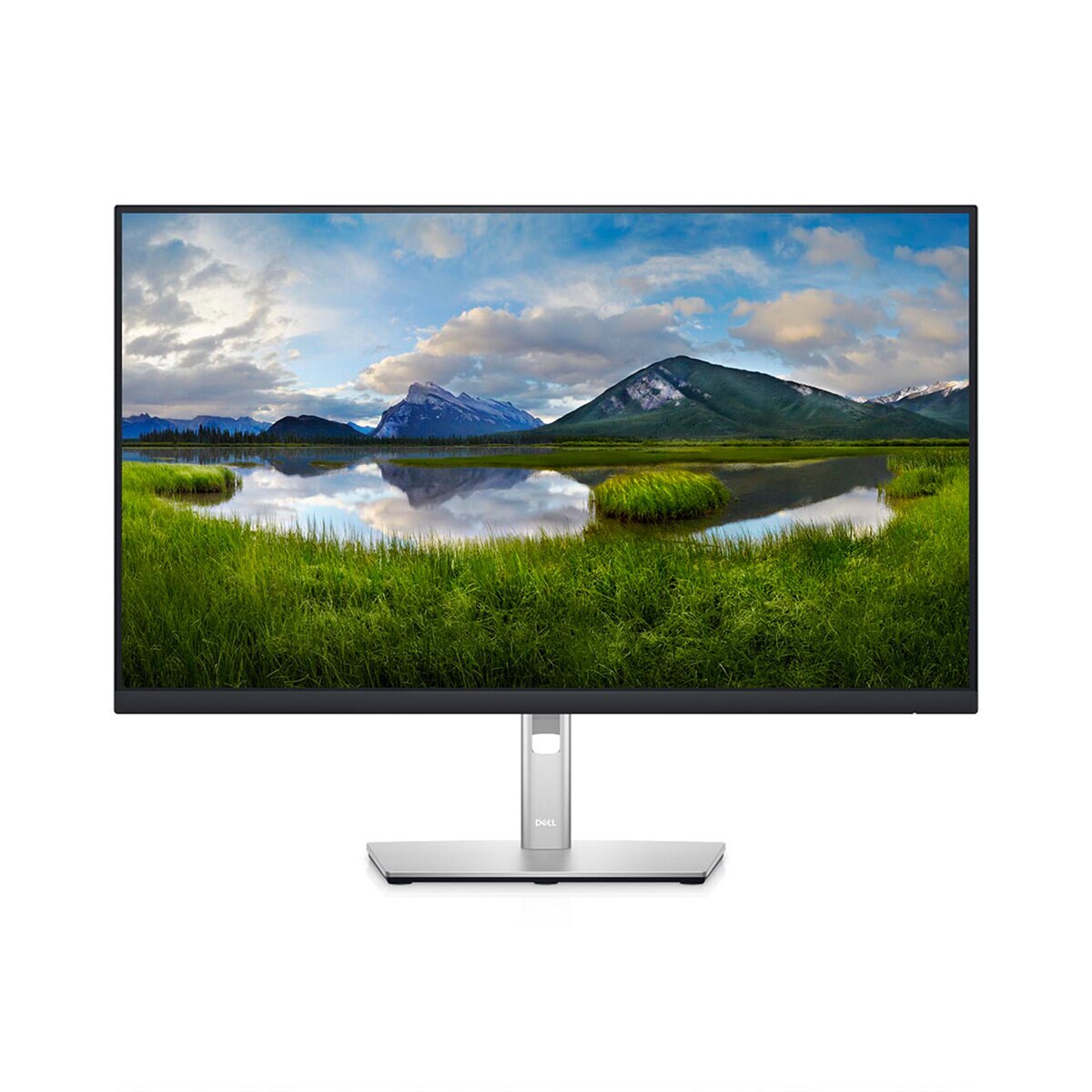 Dell Professional Monitor 27" P2722H Costco México