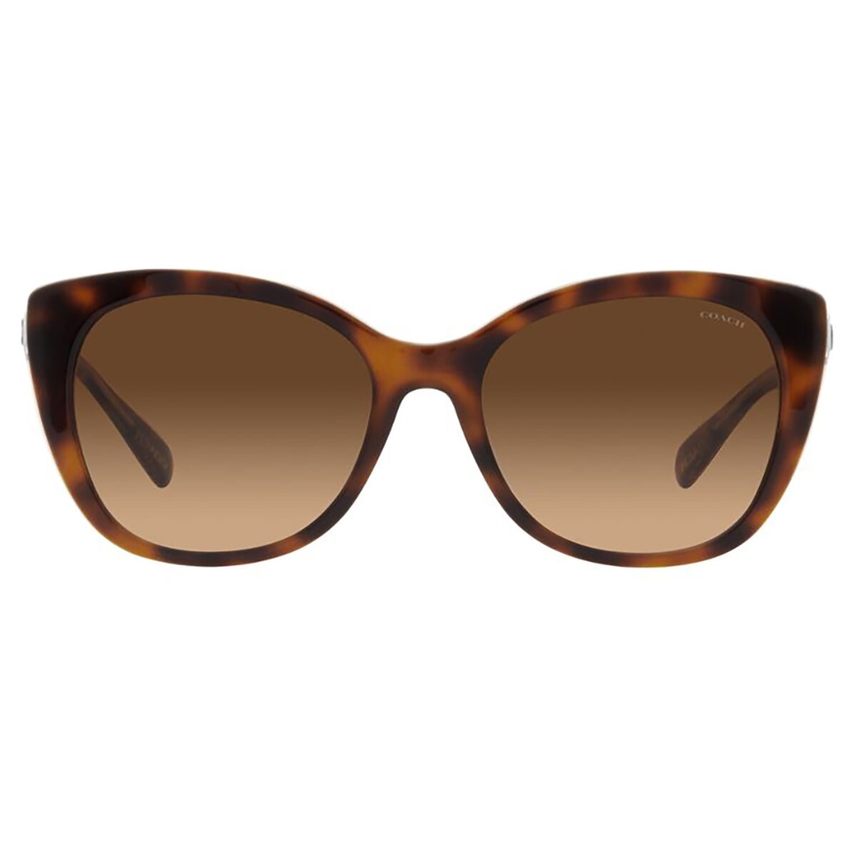 Coach 0HC8365U57427455 Lentes de Sol