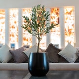 Apariencia Natural, Árbol de Olivo Artificial