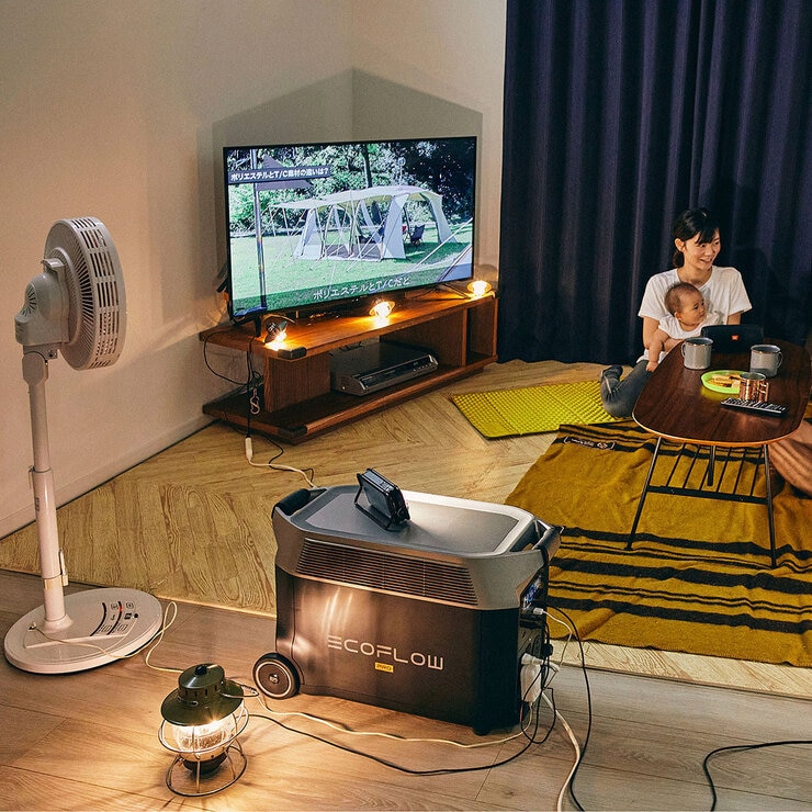 EcoFlow, Estación de Energía Portátil Delta Pro