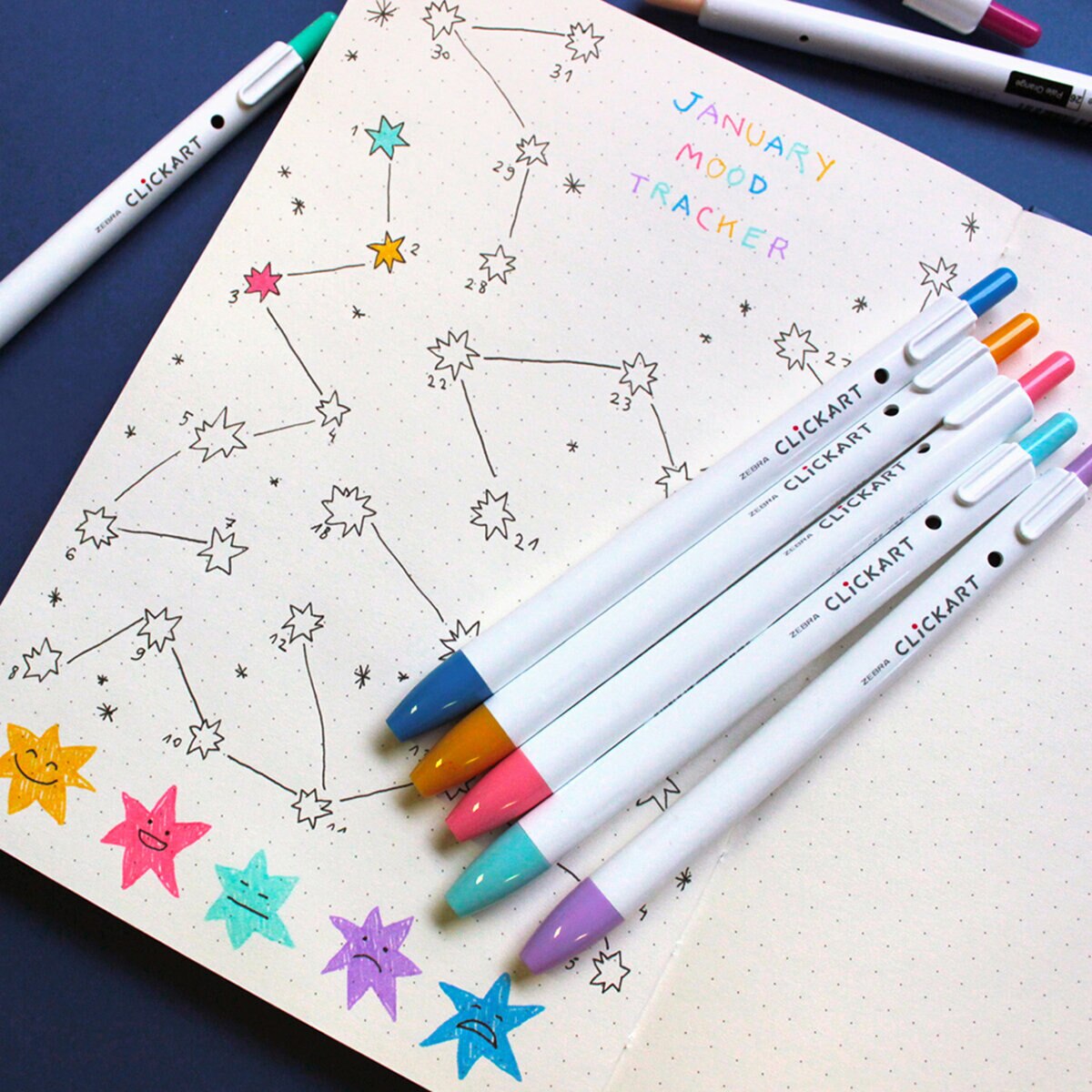 Zebra Caja Especial Lines & Lights