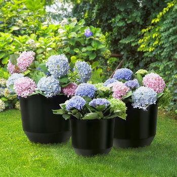 B&C, Set de Macetas Denzel 3 pzs.