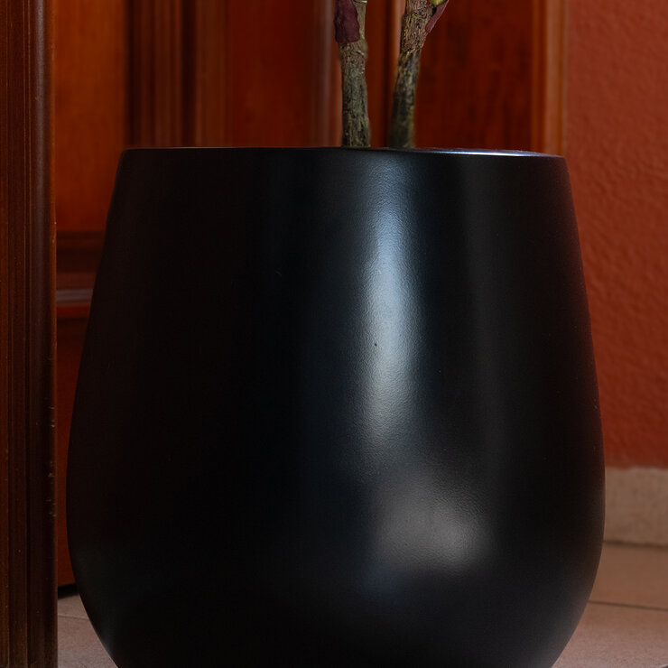 Apariencia Natural, Pandurata Mediano Artificial