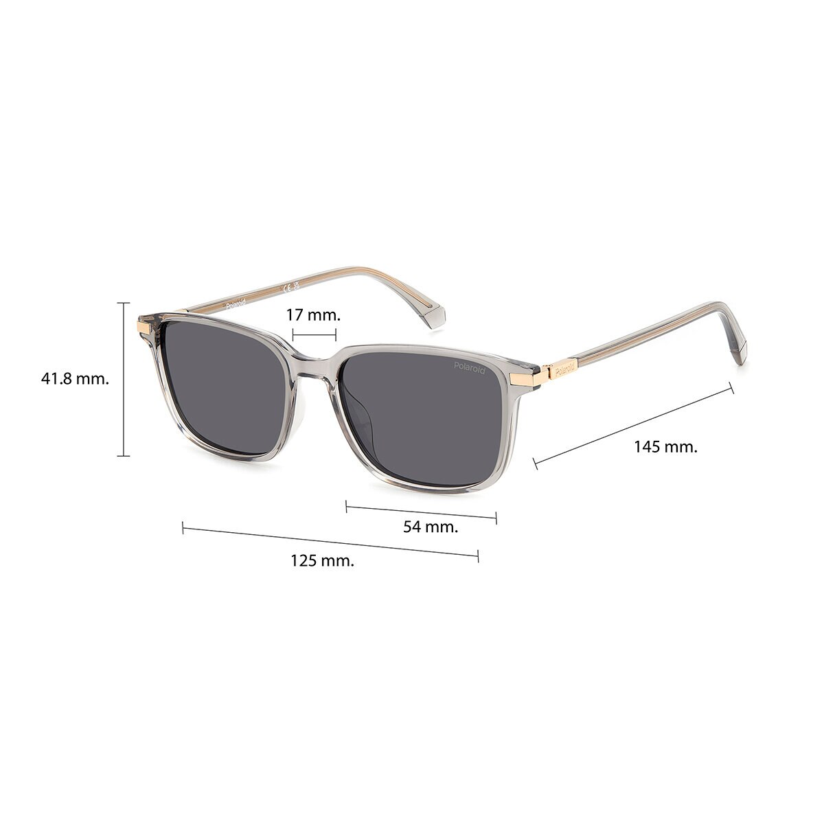 Polaroid PLD 4169 Lentes de Sol