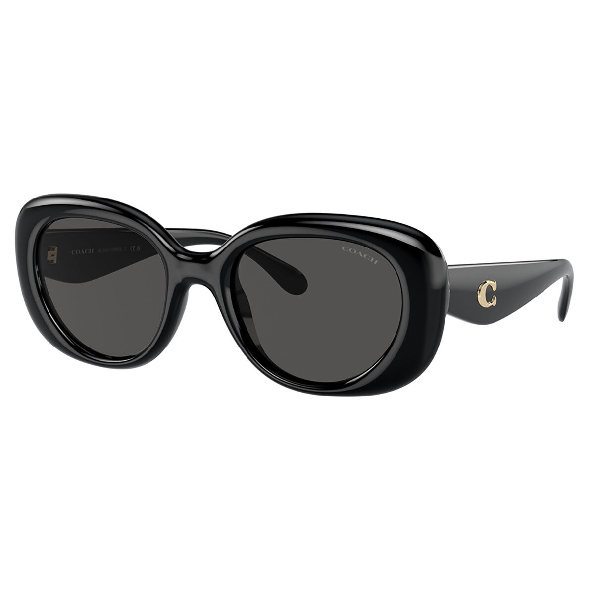 Coach 0HC8391U50028753 Lentes de Sol