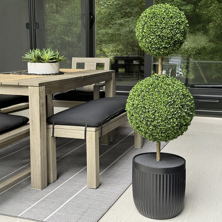 CG Hunter, Árbol Topiario de Boj de Aspecto Natural