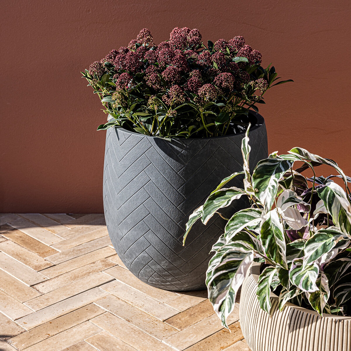 Over & Back, Tribes Maceta de Fibra de Arcilla Gris