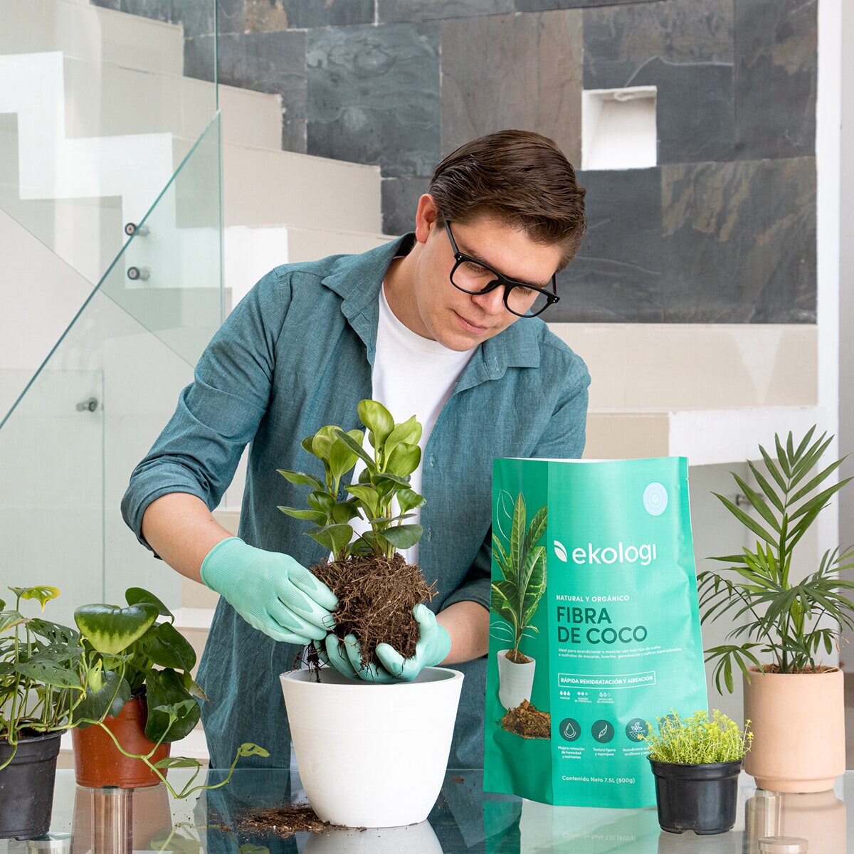 Ekologi, Fibra de Coco 2 piezas de 900g