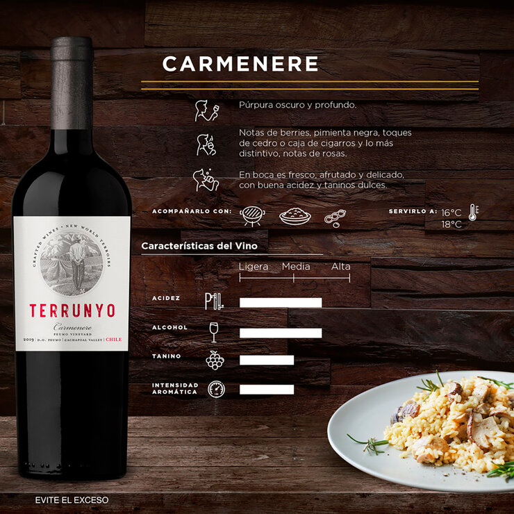Vino Tinto Terrunyo Carmenere 750ml