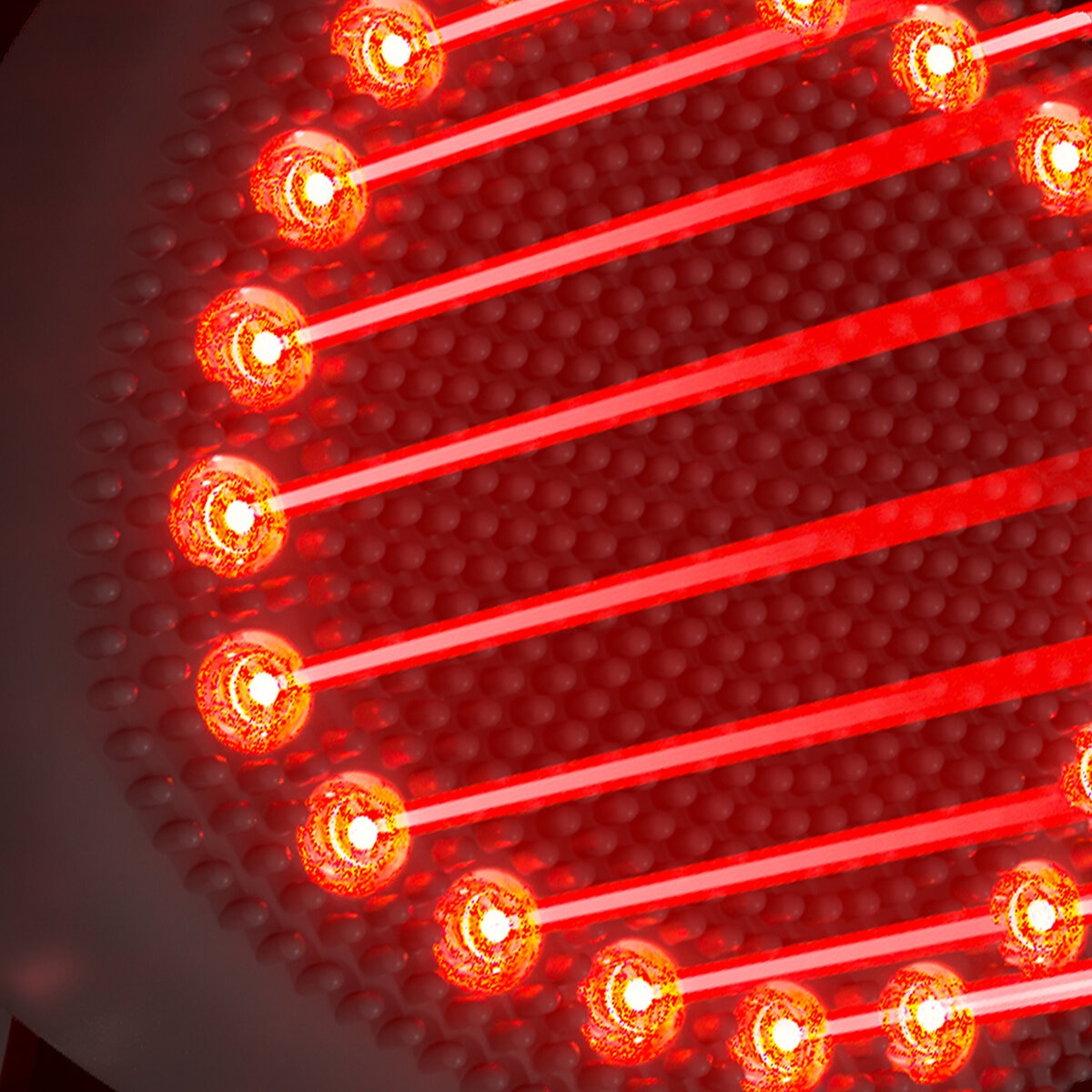 Foreo FAQ 302 + Suero Probiótico para Cabello y Cuero Cabelludo 60 ml Foreo FAQ 302 + Suero Probiótico para Cabello y Cuero Cabelludo 60 ml