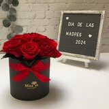 Mina'an Flor Eterna, Bouquet 12 Rosas con Flores y Follaje Preservados, Duración 6 Meses Mina'an Flor Eterna, Bouquet 12 Rosas con Flores y Follaje Preservados, Duración 6 Meses