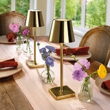Mikasa Home Accents Juego de Lámparas Led con Control Tactil 2 piezas Dorado