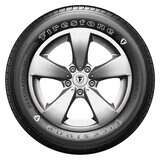 Llanta Firestone Destination LE3 255/70R18 113T