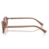Emporio Armani 0EA4253U Lentes de Sol