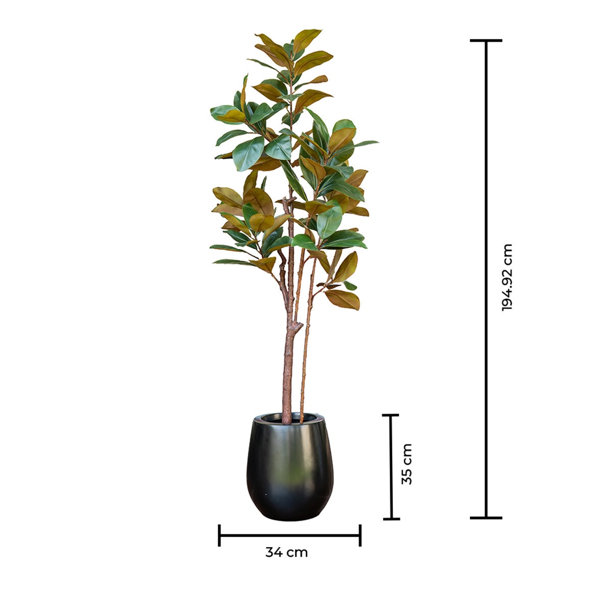 Apariencia Natural, Árbol de Magnolia Artificial